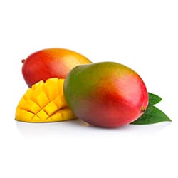 Mangue